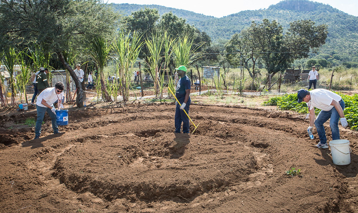 The Green Project Garden at Chris Hani Educare Centre
